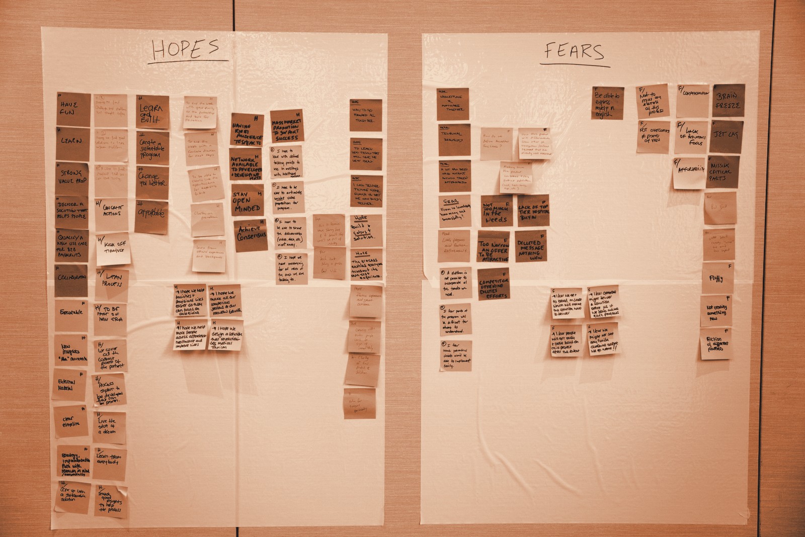 Hopes and fears exercise