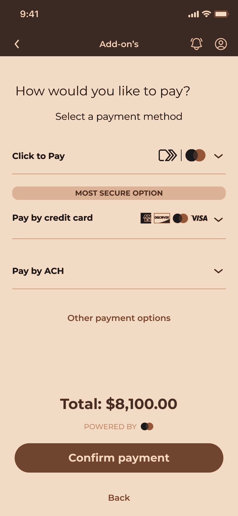 Secure payment screen